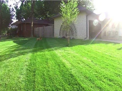 Lawn Fertilizer Service MA