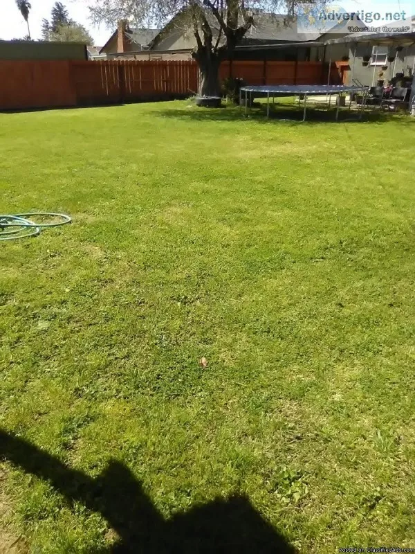 Lawn Service