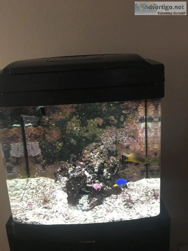 Bio cube Aquarium 14 gallon