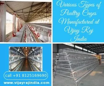 Various Types of Poultry Cages Manufactured at Vijay Raj India