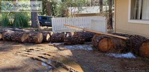 Pine wood