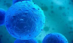 Stem Cell Injections for Back Pain