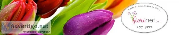 Flores Fiorinet M&eacutexico Servicios de entrega de flores