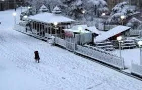 Memorable tour in Shimla