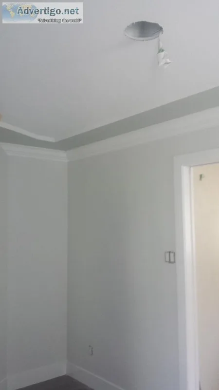 Professional Pressure Washing and Painting