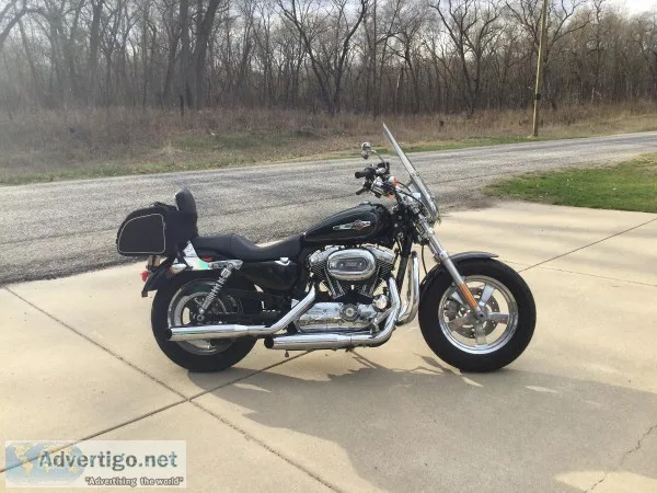 2012 Harley Davidson XL 1200 C