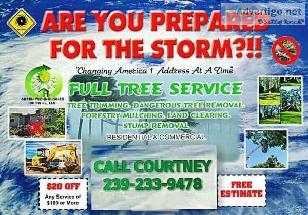 Tree Service- Best Quality and Price