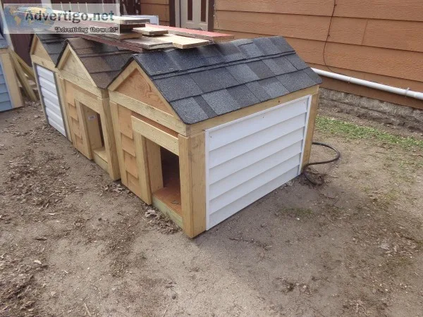 DOG HOUSES