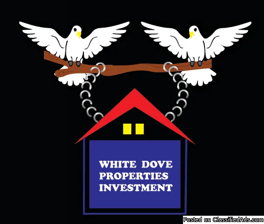 We Buy Houses