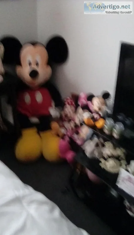 Mickey mouse
