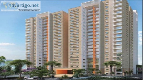 Bren Starlight Homes247