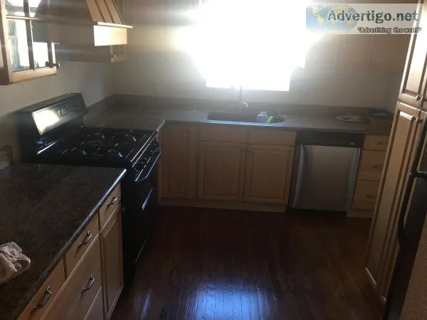 House for rent