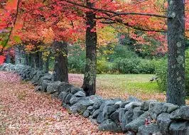 Field Stone of New England