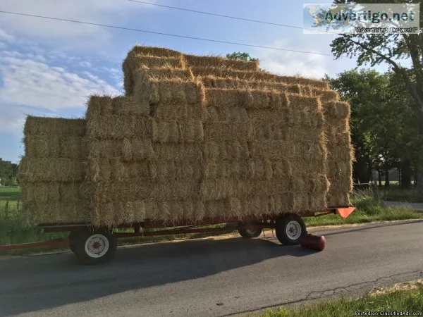Straw