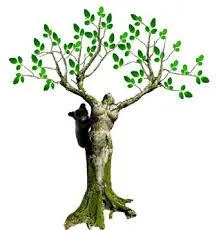 Powerful Moringa Health Benefits