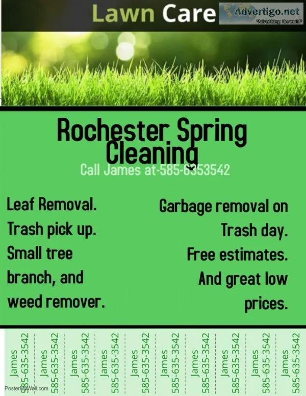 Rochester Spring Cleaning