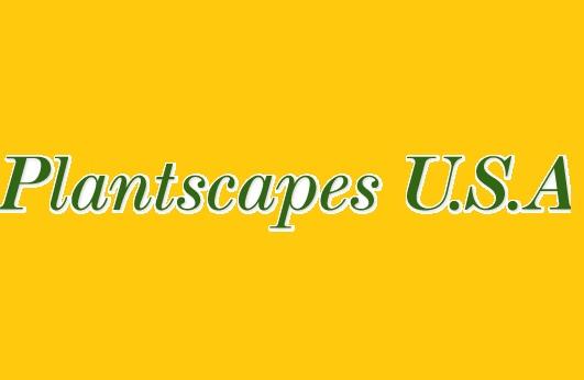 All varieties of plants for your indoors