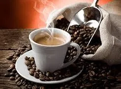 Have More Energy Better Focus And Lose Weight All At The Same Ti