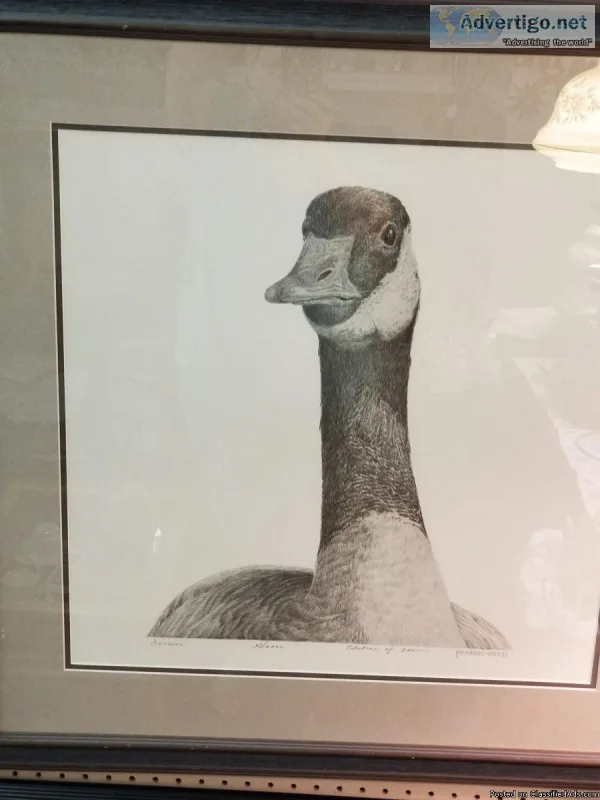 PRINT BY LOU FERRERI  TITLED THE GOOSE