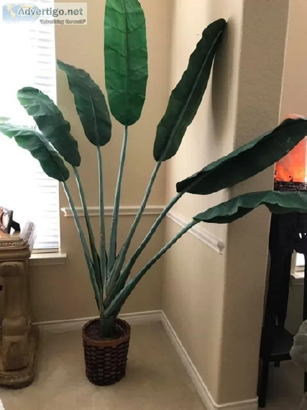 6 foot tall and 6 foot wide artifical Banana Plant