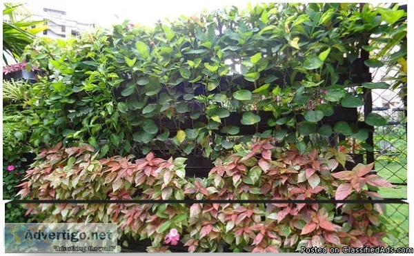 Top Wall Green Store