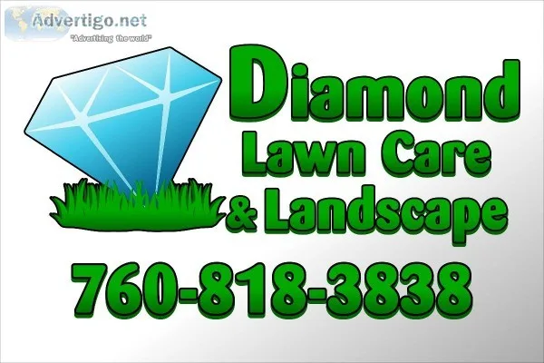 Lawn Aeration