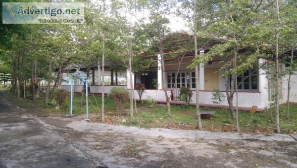 5 Acres of land with Home Stay for sale in Hassan