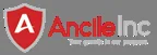 US Technical Recruiter