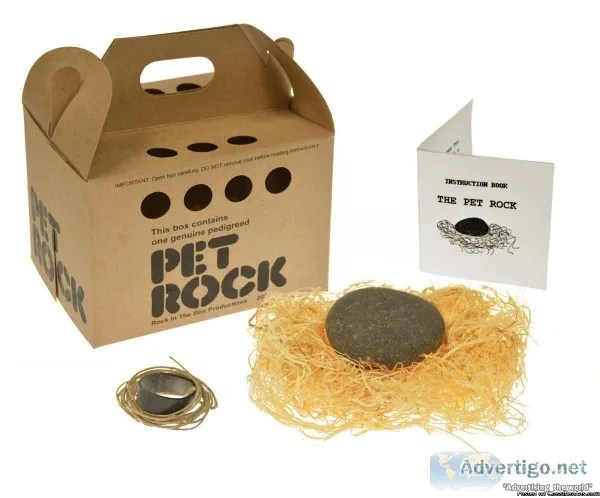 Pet Rocks from the 70s ready and set for the party.