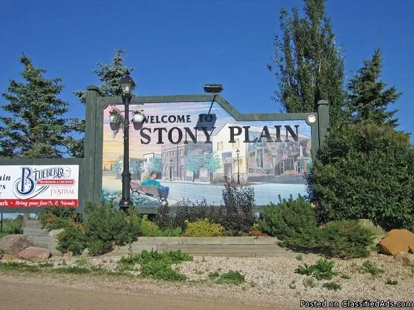 Residential Real Estate Servicing in Edmonton