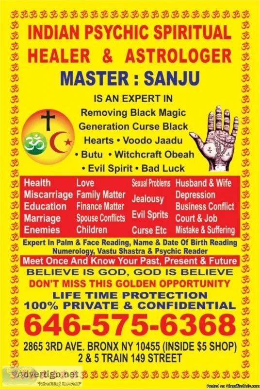 indian astrologer