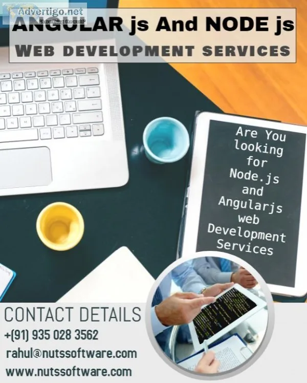 Angular js and Node js Web Development Services in Delhi Noida.