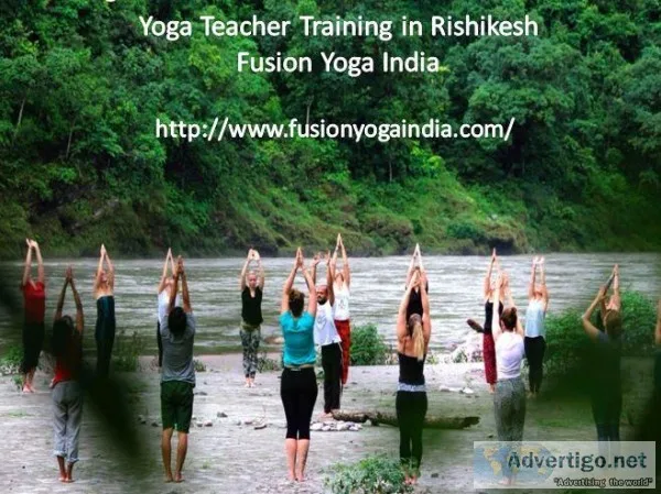 Yin Yoga Teacher Training