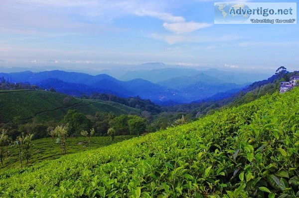 Weekend Escapades Near Coimbatore
