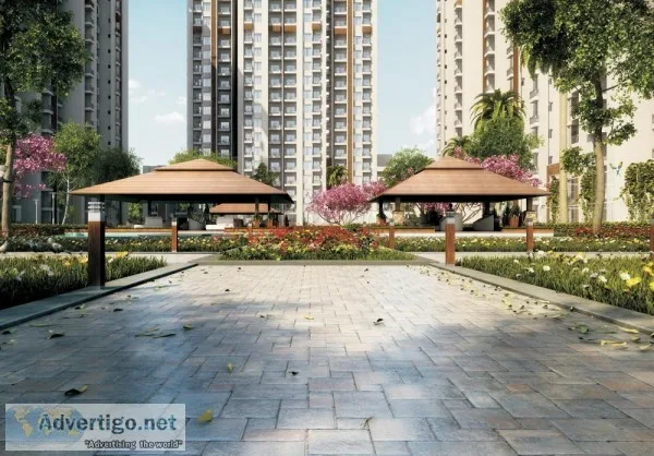 Own a lavish home in Ace Divino Noida 9250002243