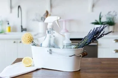 Cleaning services