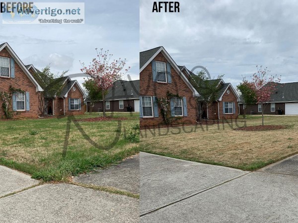Rayo s Landscaping