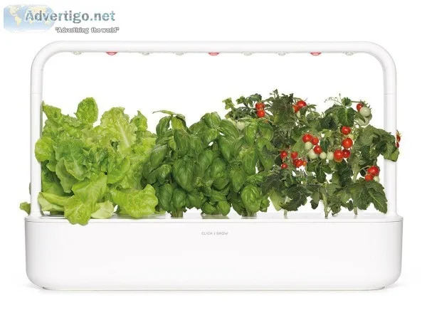 Click and Grow