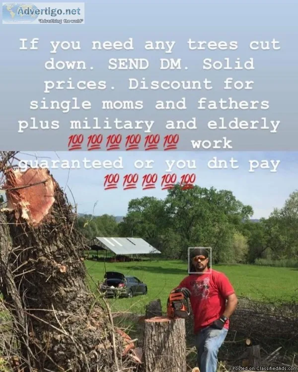 Need a tree chopped down
