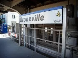 BRONXVILLE TRAVELING NOTARY SERVICES (917-273-4067)