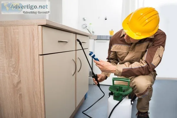 Commercial pest control services in Delhi NCR