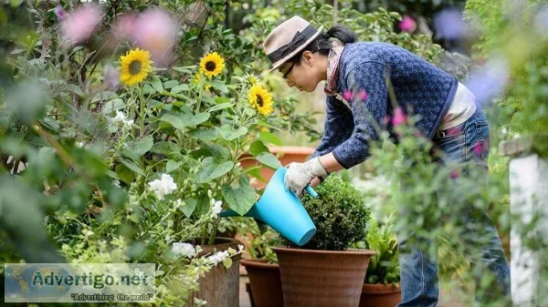Garden Care Services Canberra
