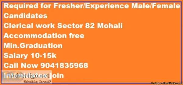 Required for FresherExperience MaleFemale Candidates   Clerical 