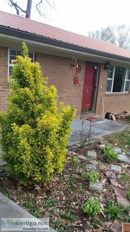 Brick house for sale