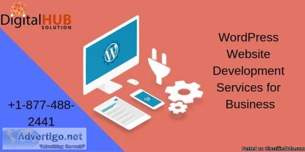 Build Unique Brand Identity using WordPress Website Development