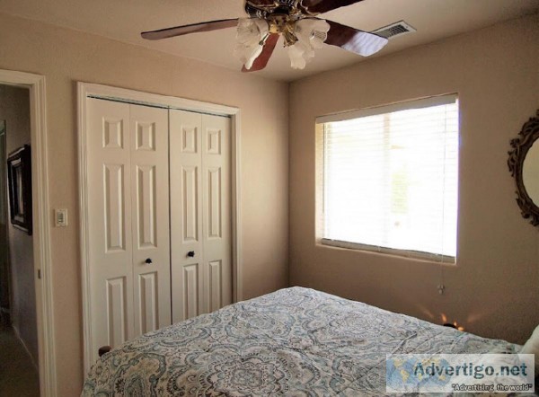 Roommate needed
