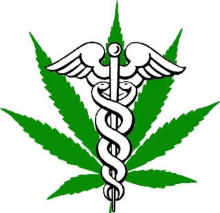 Dispensary Workers Budtenders And Trimmers