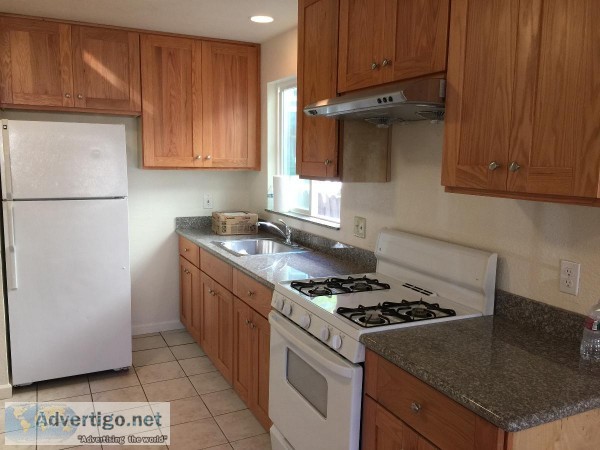 newly remolded apartment rent