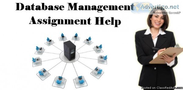 Database Management Assignment Help and Writing Service