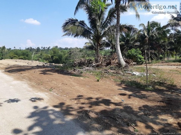 Banana Island Residential Farm Lot - Silang Cavite Phils